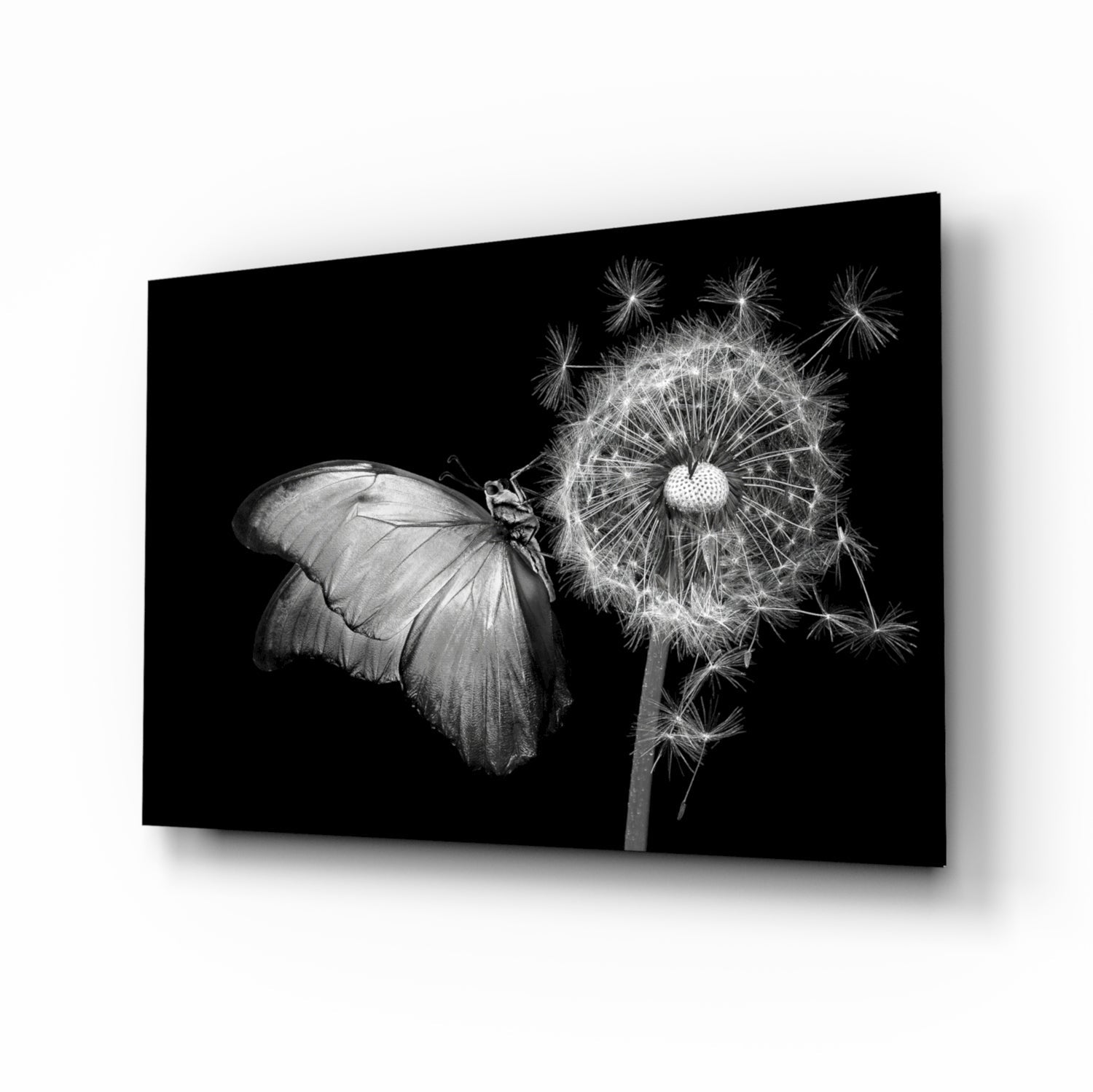 Butterfly & Dandelion Cam Tablo