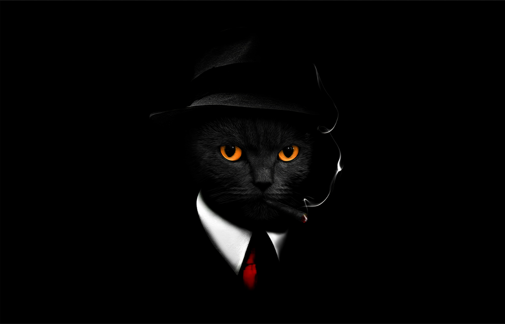 Havalı Kedi Dedektif Cam Tablo