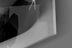 White serpent crown cinematic glass wall art in creative-agency reception