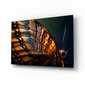 Monarch butterfly wing macro cinematic glass wall art over walnut console in designer wellness clinic