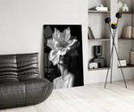 B&W flower-mask cinematic glass wall art over modern dining sideboard