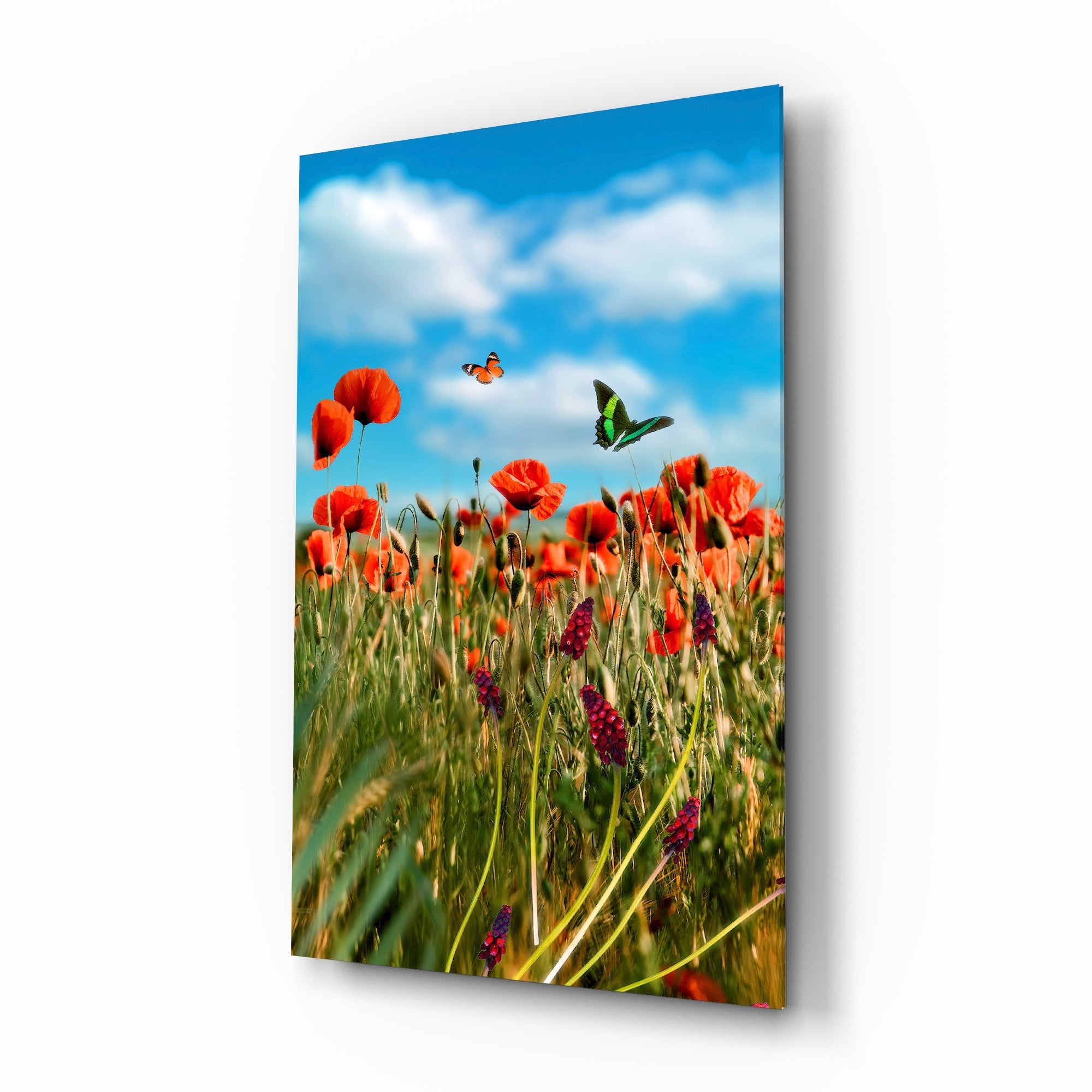 Poppy field butterflies cinematic glass wall art over walnut console in designer cottage kitchen