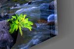 Autumn maple cinematic glass wall art in East-Asian-themed bedroom