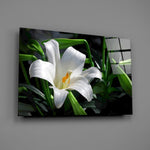 Old Master botanical Easter cinematic glass wall art in wellness clinic reception