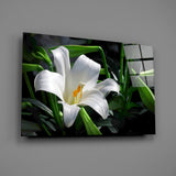 Old Master botanical Easter cinematic glass wall art in wellness clinic reception