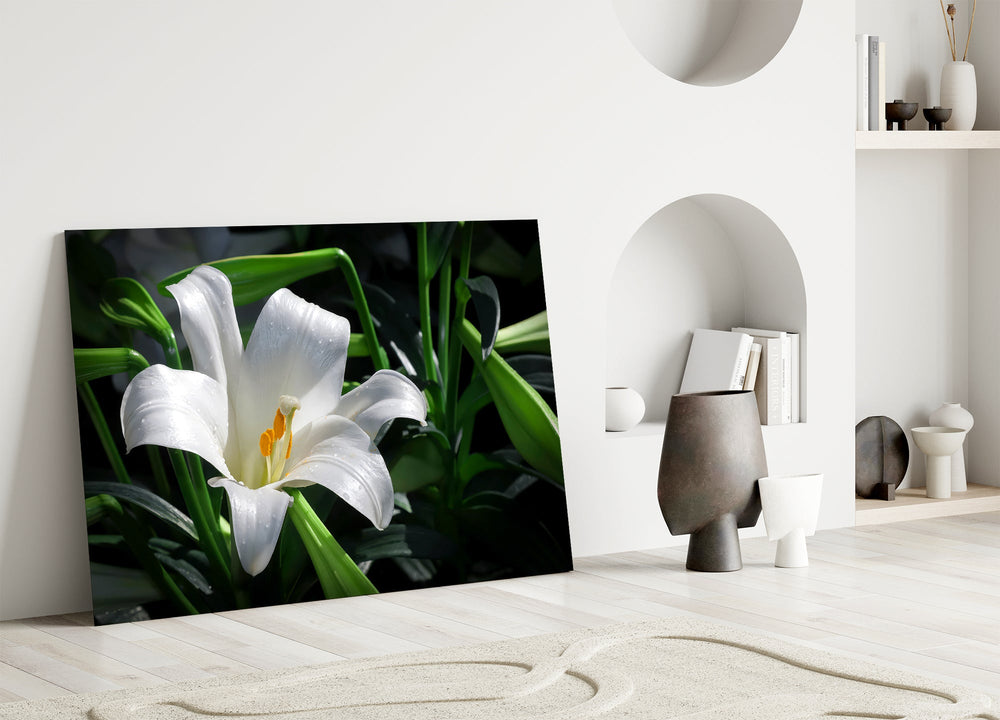 Mapplethorpe style cinematic glass wall art in heritage stairwell
