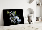 Mapplethorpe still-life cinematic glass wall art in heritage stairwell