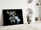 Mapplethorpe still-life cinematic glass wall art in heritage stairwell