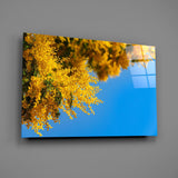 Mediterranean spring cinematic glass wall art in wellness clinic reception