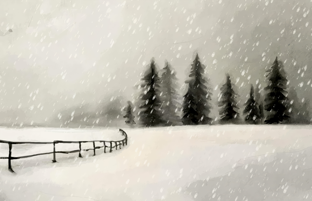 Karlı Çam Ormanı Yolu Cam Tablo