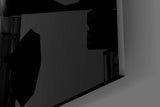 B&W oil lion cinematic glass wall art in corporate boardroom