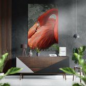 Flamingo Fırçalı Metalik Alu-Dibond.