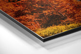 Lake View Brushed Aluminium Dibond Wall Art.