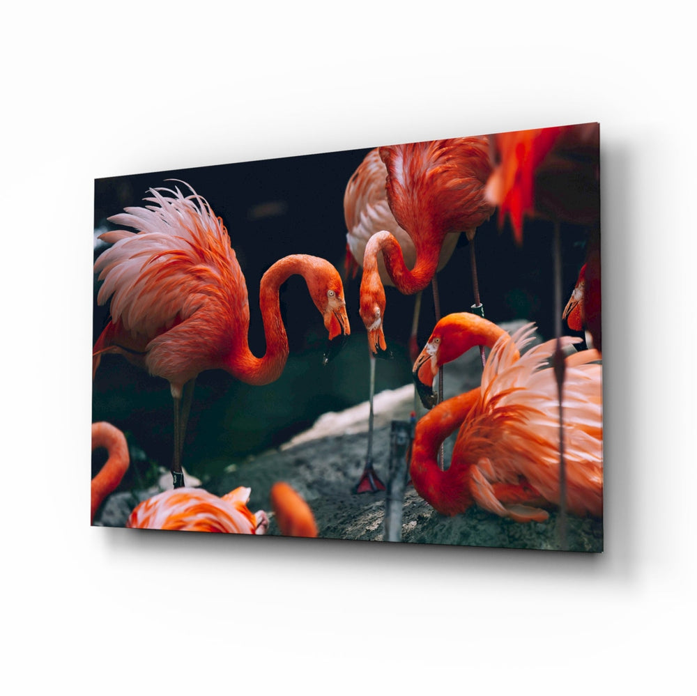 Flamingolar Cam Tablo