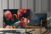 Flamingolar Cam Tablo