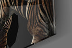 Zebra Cam Tablo