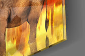 Fil Cam Tablo