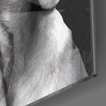 Masum Köpek Cam Tablo