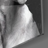 Masum Köpek Cam Tablo