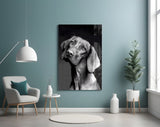 Masum Köpek Cam Tablo