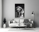 Masum Köpek Cam Tablo