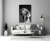 Masum Köpek Cam Tablo
