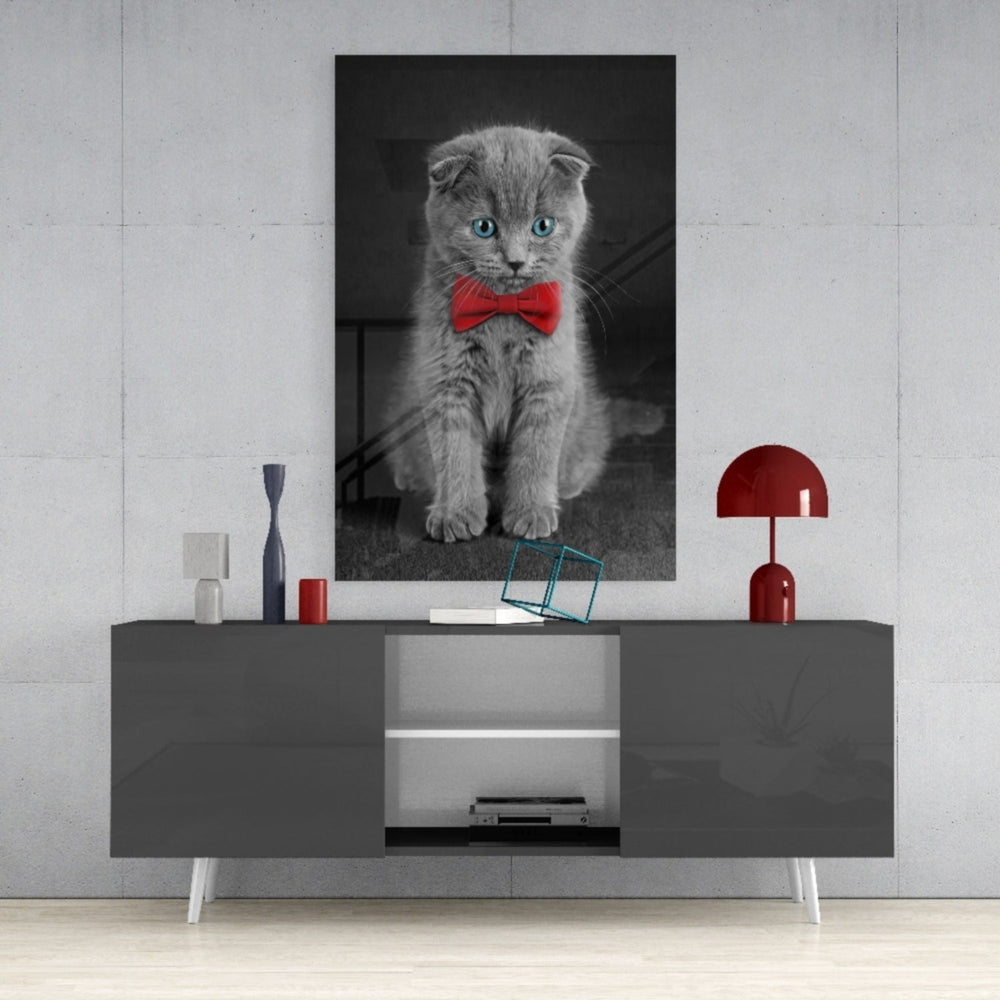 Kedi  Cam Tablo