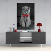 Kedi  Cam Tablo