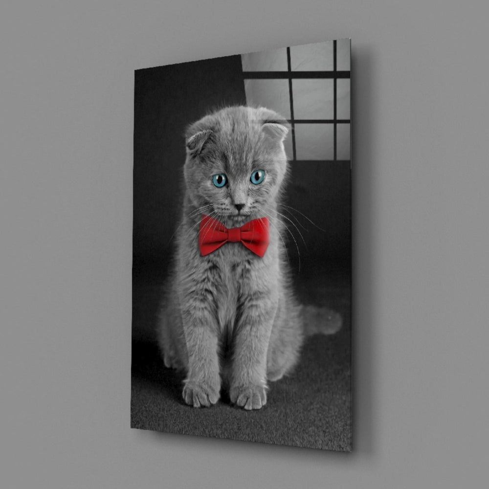 Kedi  Cam Tablo