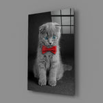 Kedi  Cam Tablo