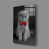 Kedi  Cam Tablo