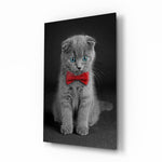 Kedi  Cam Tablo