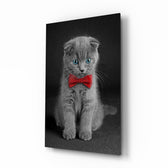 Kedi  Cam Tablo
