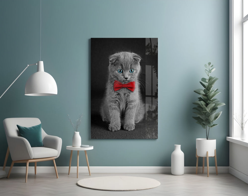 Kedi  Cam Tablo