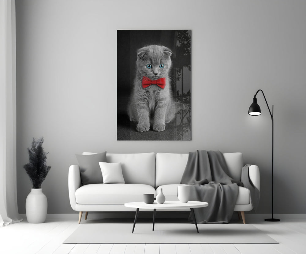 Kedi  Cam Tablo