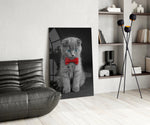 Kedi  Cam Tablo