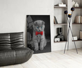Kedi  Cam Tablo