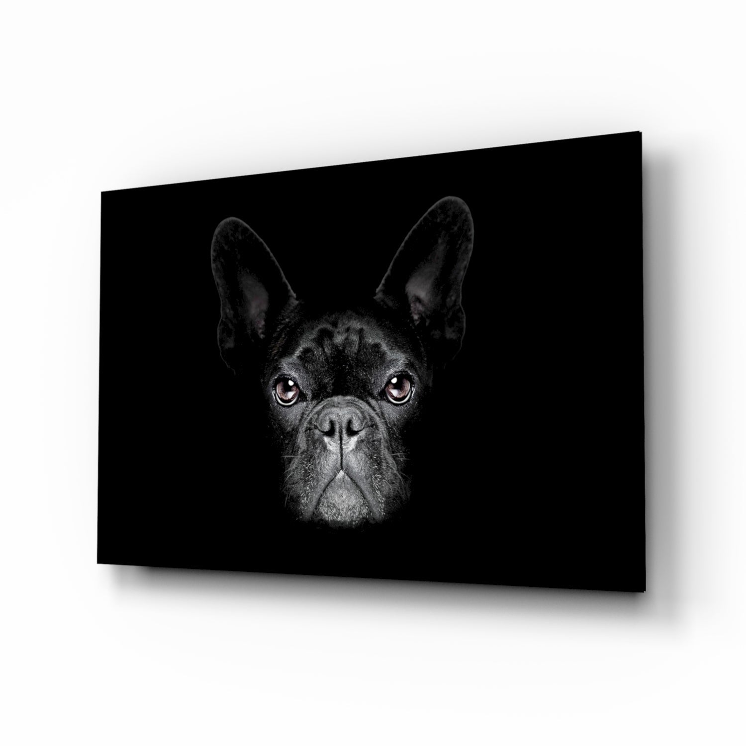 Köpek  Cam Tablo