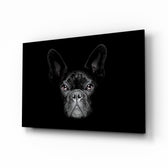 Köpek  Cam Tablo