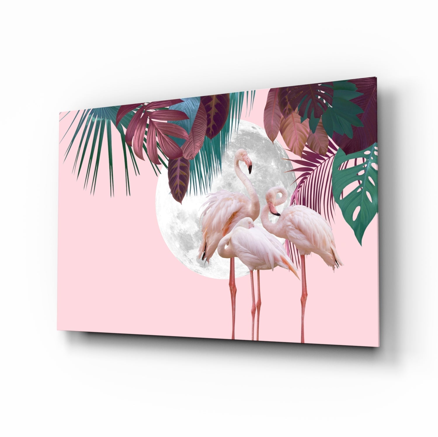 Flamingo Cam Tablo