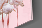 Flamingo Cam Tablo