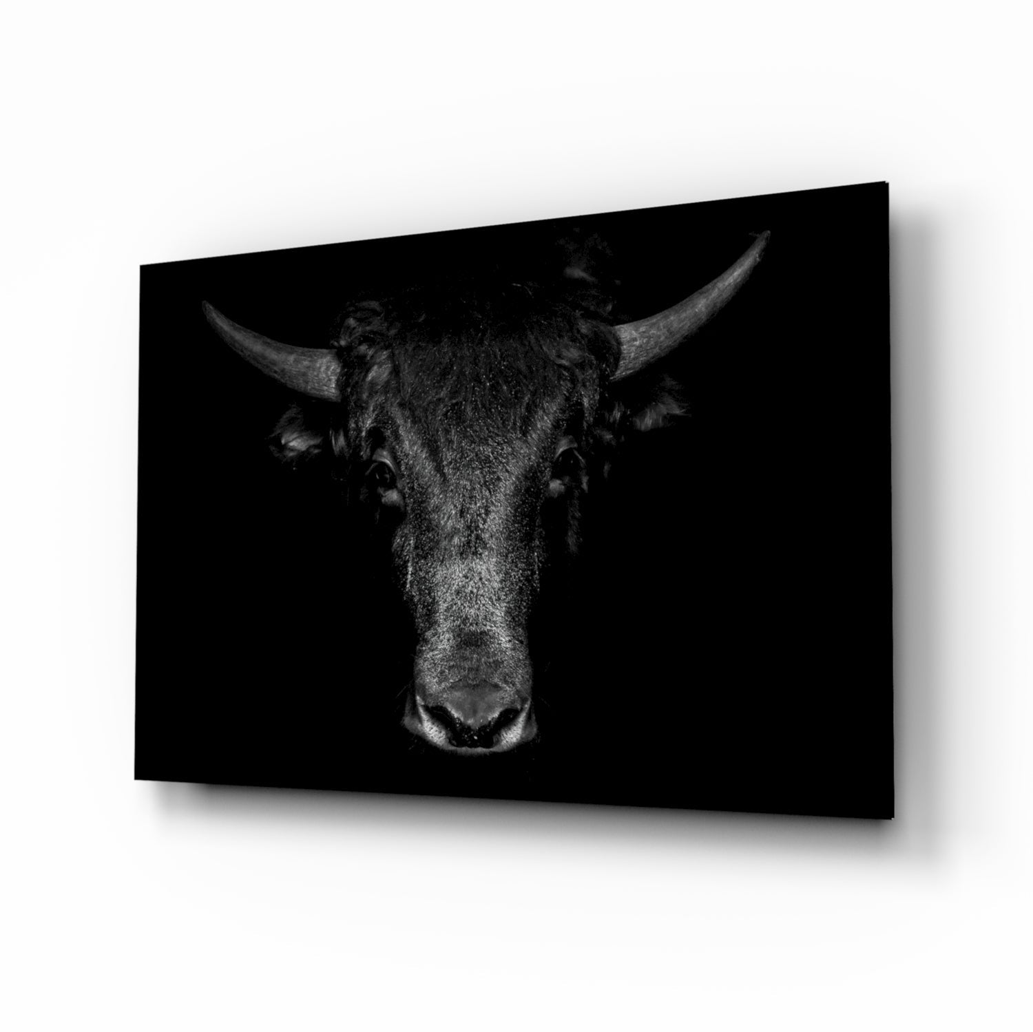 Buffalo Cam Sanatı Cam Tablo
