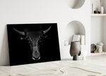 Buffalo Cam Sanatı Cam Tablo