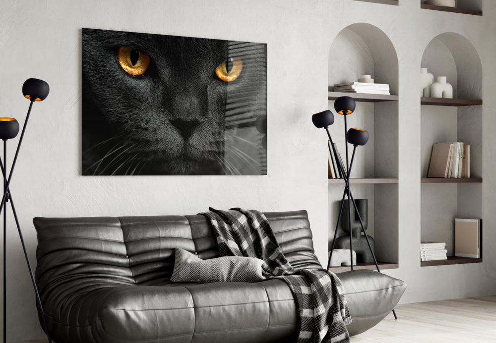 Kedi  Cam Tablo