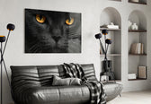 Kedi  Cam Tablo