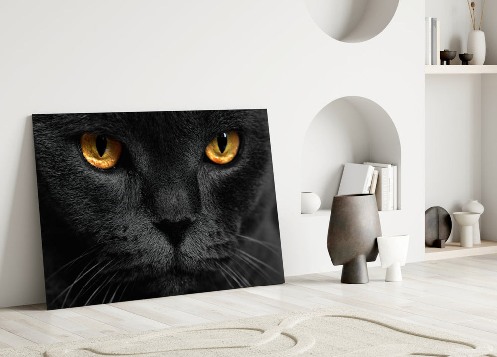 Kedi  Cam Tablo