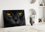 Kedi  Cam Tablo