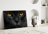 Kedi  Cam Tablo
