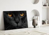 Kedi  Cam Tablo