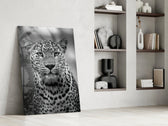 Leopar Cam Tablo